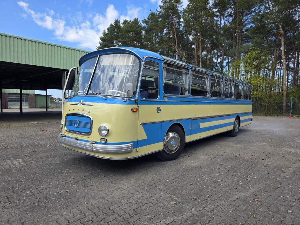 Fahrzeugabbildung Setra S12 Oldtimer