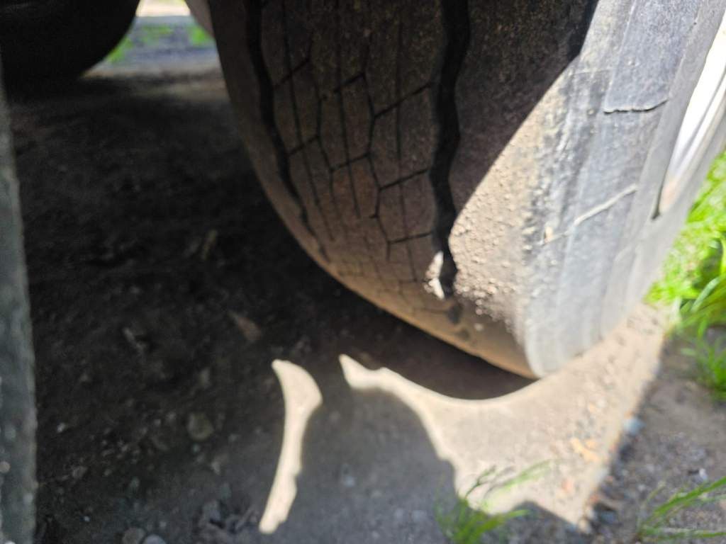 Fahrzeugabbildung Reisch 48 cbm Getreidekipper, Kornschieber, Lift