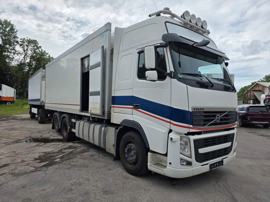 Fahrzeugabbildung Volvo FH 480 Kühler mit Kühlanhänger, LBW+Türen
