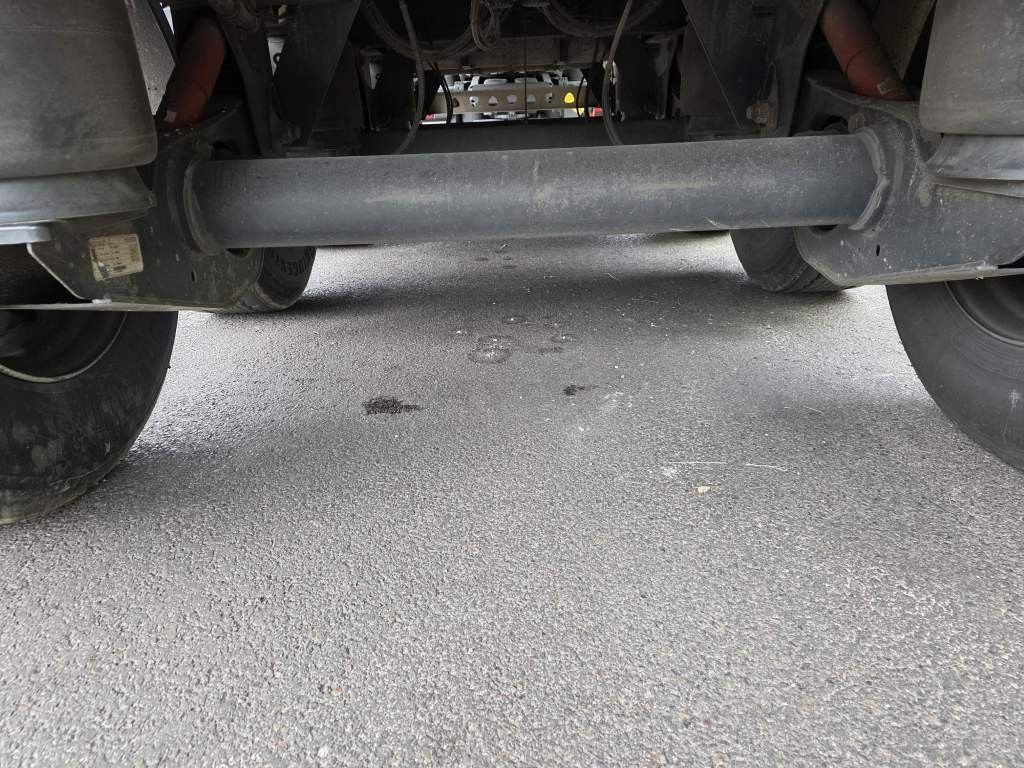 Fahrzeugabbildung Reisch 49 cbm Getreidekipper, SAF Scheibe, Lift