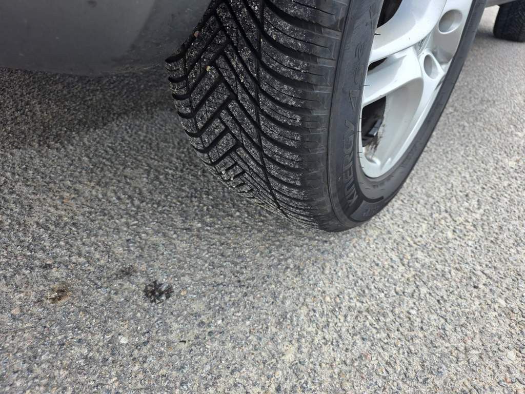 Fahrzeugabbildung Porsche Cayenne S 4.5 L mit 340 PS, V8, Allrad